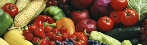 Maria Faires of Issaquah, Registered Dietitian