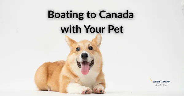 Dog boating or RV to Canada border requirements pets