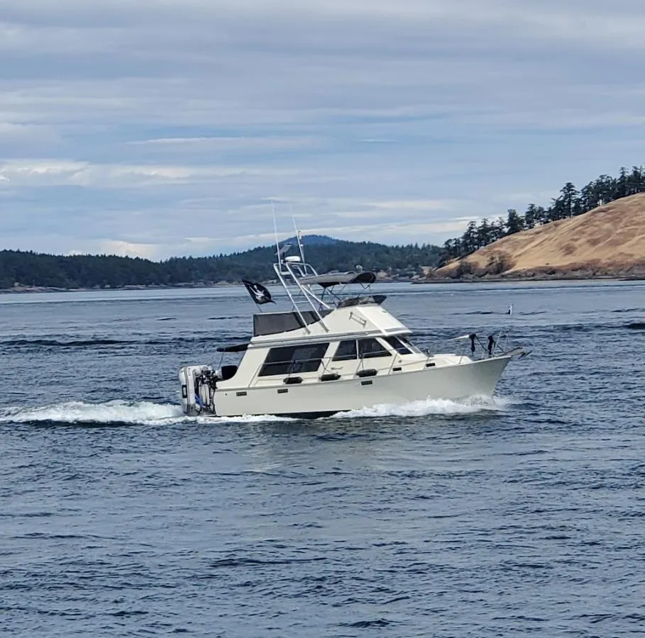 Photo of boat with island in the back